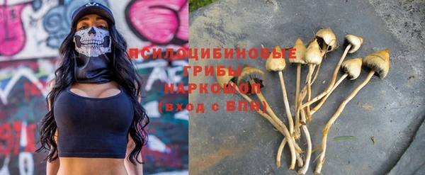 мет Белокуриха